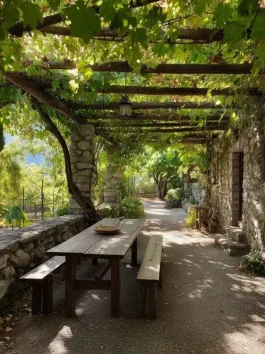 686e452452f4e6b5322476ee_italian-viney-3-p-500